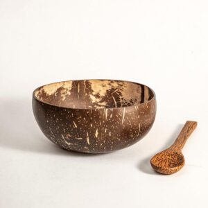Lococraft Coconut Bowl